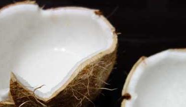 椰子的营养价值与食用功效 椰子的营养功效与作用