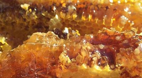 养蜂人怎么打造蜂蜜品牌（养蜂人牌子蜂蜜好不好）