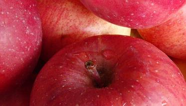 吃苹果有什么好处,功效有哪些 吃苹果有什么作用和功效