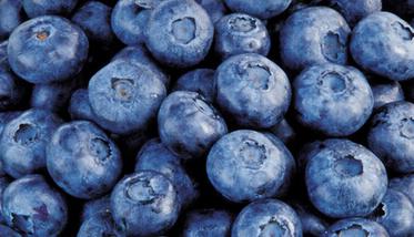 蓝莓的营养价值与功效 蓝莓的营养价值与功效是什么