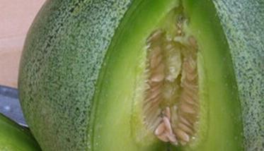 绿宝香瓜的营养价值知多少 绿宝甜瓜营养价值