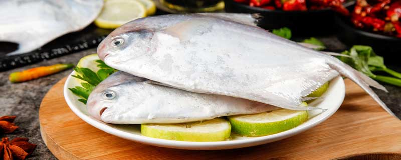 鲳鱼多少钱一斤 2022鲳鱼多少钱一斤