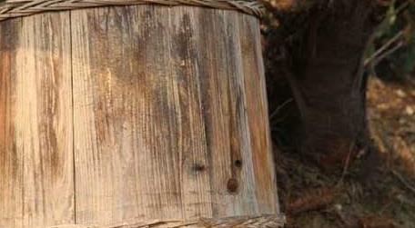 木桶养蜂