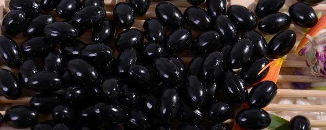 蜂胶什么时候吃最好（蜂胶什么时候吃最好一天吃几个）