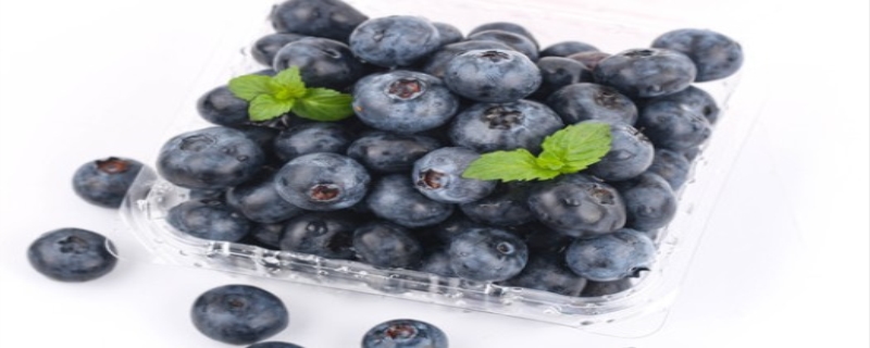 蓝莓是什么季节的水果（蓝莓是什么季节的水果九月底有没?）