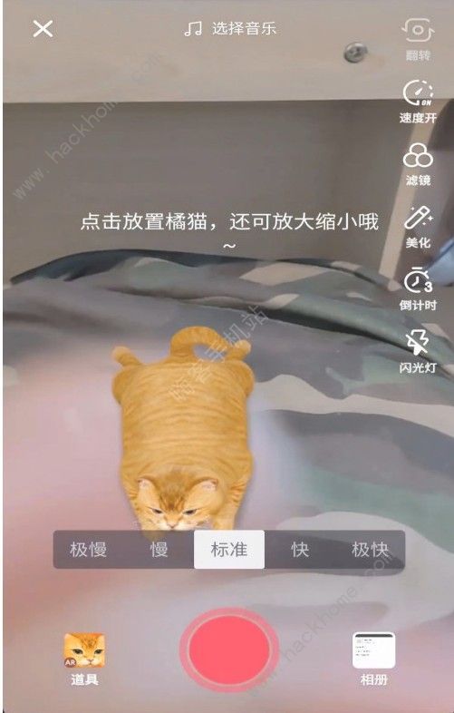 抖音AR橘猫怎么放置 AR橘猫放置方法介绍[多图]图片1