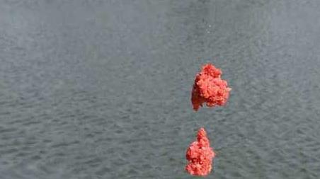 初春在水库里能钓鱼吗 初秋水库钓鱼