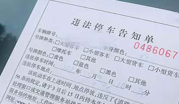 公司车辆处理违章需要带什么证件