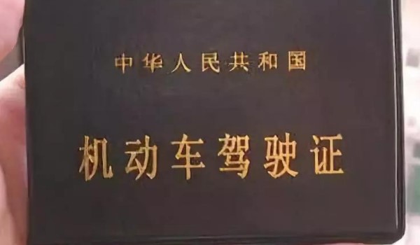 提交驾驶证照片是什么意思