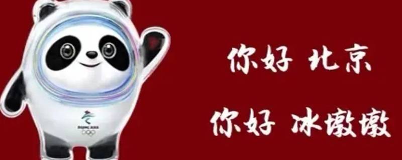 冰墩墩咋火的 冰墩墩样子