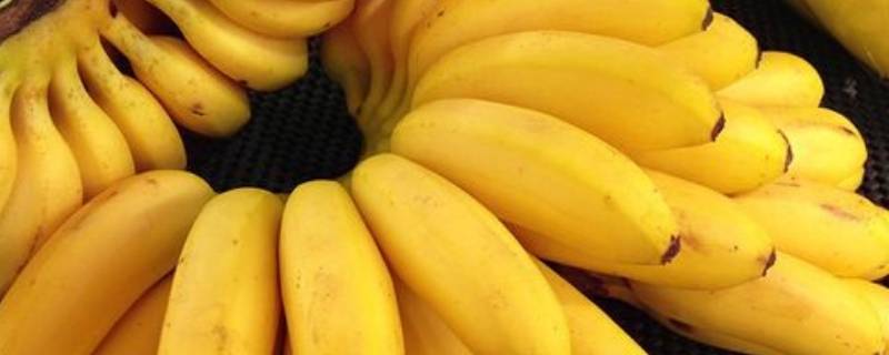 米蕉里面黑色硬硬一粒是什么 小米蕉里面有黑色硬东西