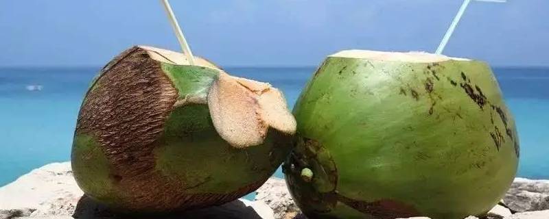 椰子能放冰箱冷藏几天（椰子在冰箱可以放几天）