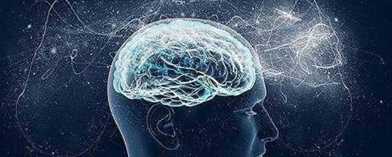 人的脑电波能互相感应吗 人与人的脑电波会相互影响吗