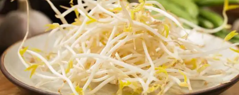 生根不落地有叶不开花是什么蔬菜 有根不落地有叶不开花都说它是菜园中不种它