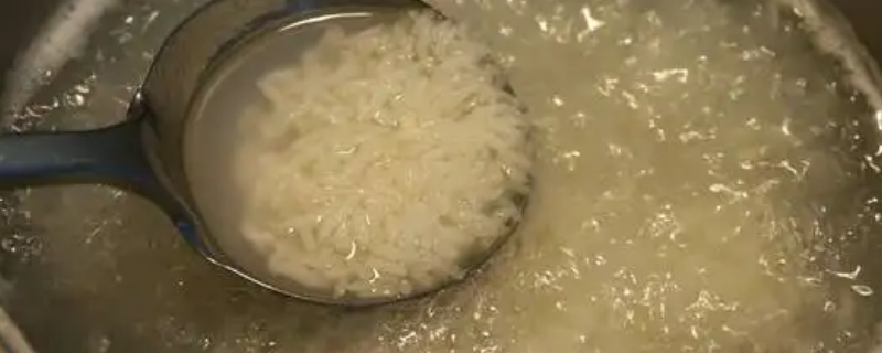 高压锅煮粥水和米的比例是多少（高压锅煮粥水和米的比例）