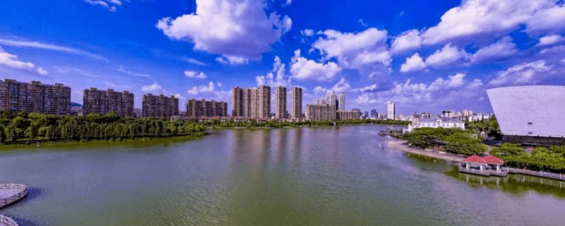 工小美指的是什么 小美是什么鬼