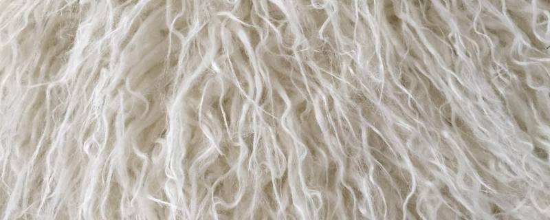 超细羊毛和羊毛的区别 超细羊毛是羊毛吗