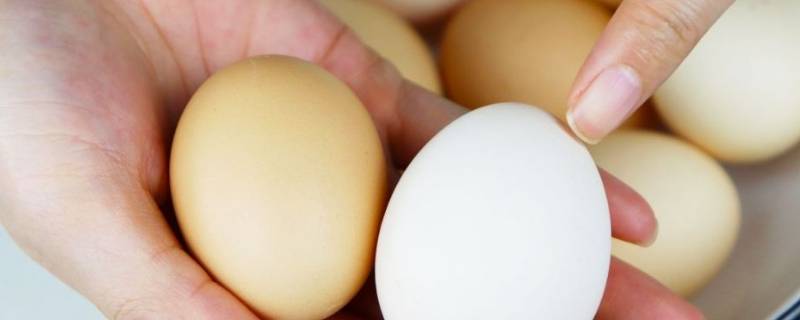 煮鸡蛋不宜用哪种容器 煮鸡蛋时不宜用哪种容器