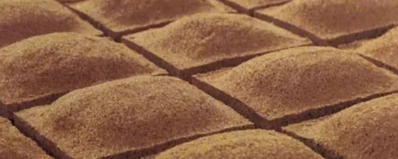 酱曲是什么 酱曲是什么东西