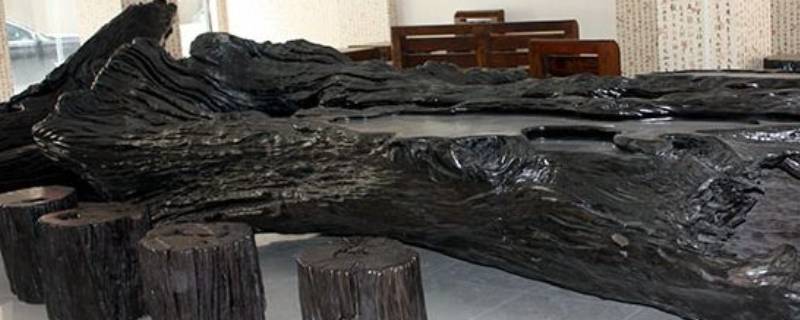 乌木是什么木头（金丝楠乌木是什么木头）