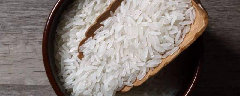 油粘米是什么米（马坝油粘米是什么米）