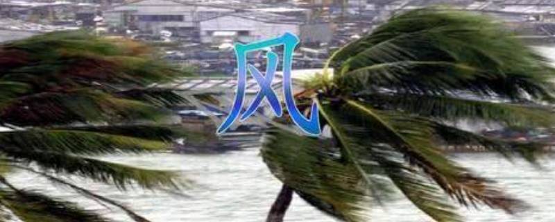 四季风的特点（四季风的特点写话）