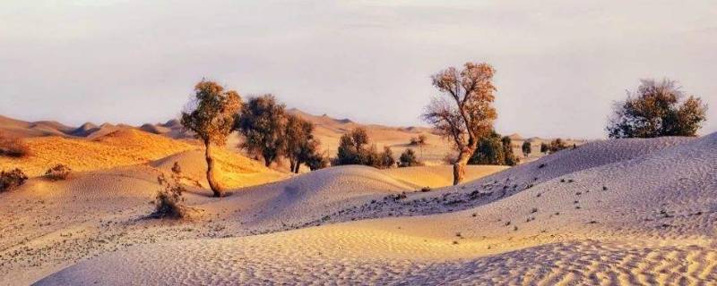 我国的沙漠有哪些 我国有哪些大沙漠