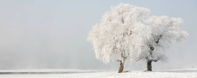 下雨有雾凇吗（雪后有雾凇吗）