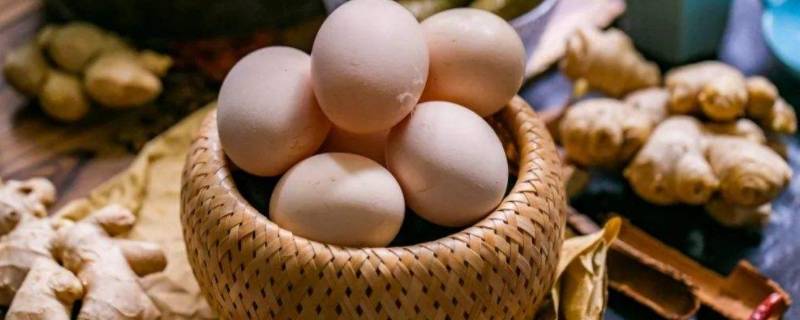 无精蛋和有精蛋的区别 无精蛋和有精蛋的区别在哪里
