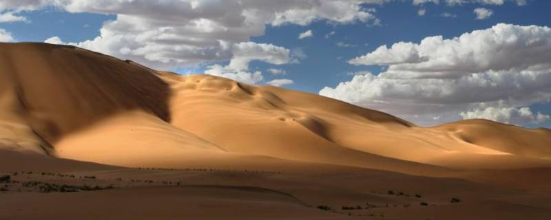 沙漠大约覆盖地球表面的几分之几（沙漠覆盖地球表面的多少几分之几）