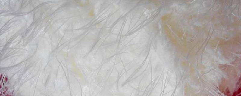 绒丝和羽丝是什么材料 羽绒丝是什么材料好吗