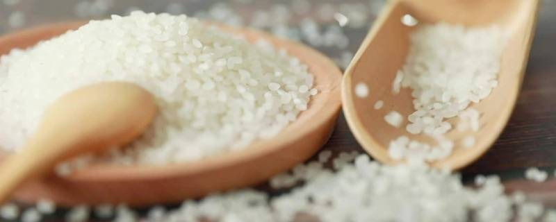 封好的大米为什么有米虫 密封的大米为什么生虫