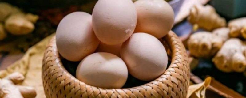 有精蛋和无精蛋的区分方法（怎么区分有精蛋和无精蛋）
