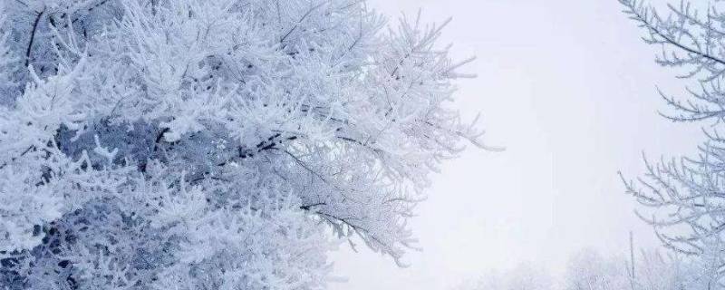 降雪分为几个等级 降雪级别按什么划分的