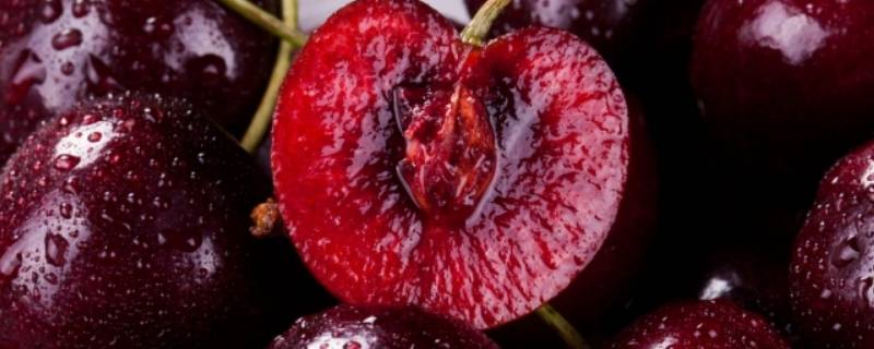 拉宾斯车厘子是红车还是黑车 红车跟黑车厘子