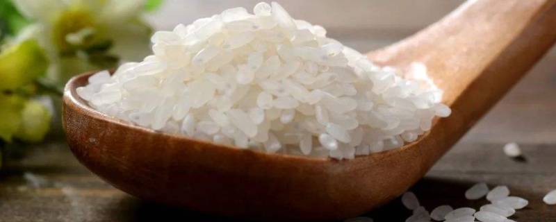 大米分类 大米有哪些种类