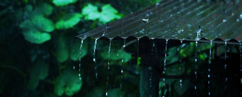 梅雨的梅是哪个梅 梅雨的梅是什么梅