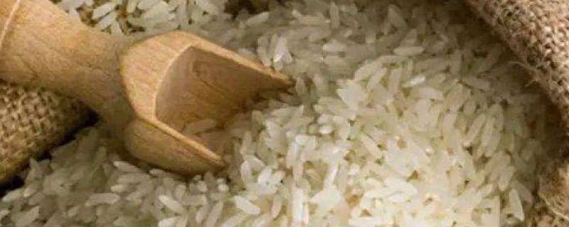 大米怎样挑选质量好的米（怎么选大米哪种米好）