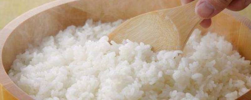 剩米饭怎么保存（剩米饭怎么保存不硬）