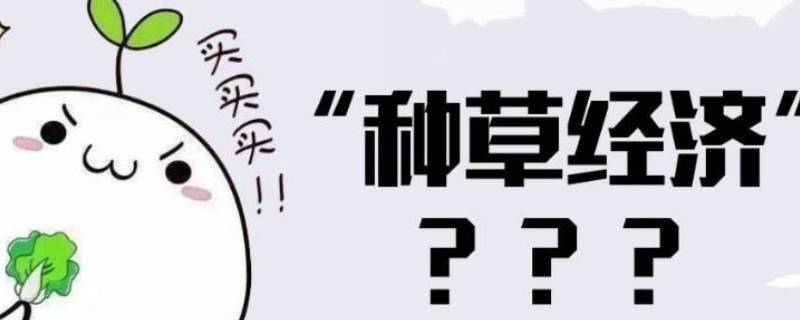 被你种草是什么意思 被你种草是什么意思网络用语