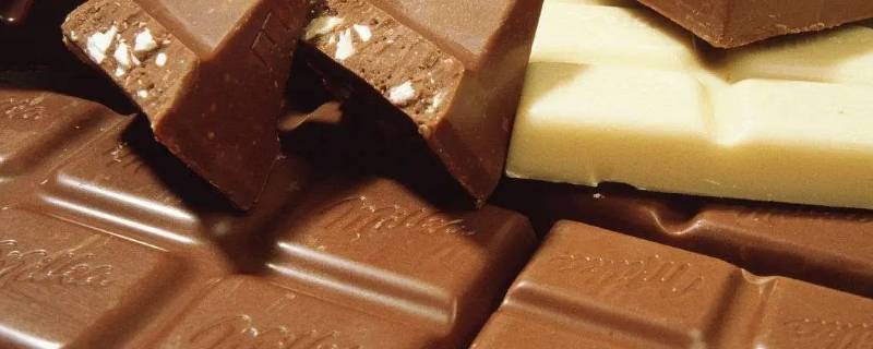 纯脂巧克力是什么意思 纯脂巧克力百分度什么意思