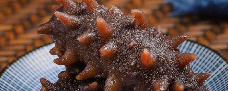 拉缸盐海参怎么泡发 拉缸盐海参怎么泡发要泡多长时间