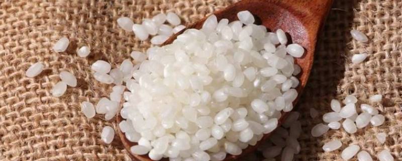 大米分类三大分类 大米有哪些分类