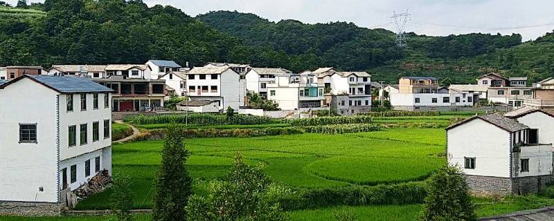 西桥属于哪个省市 西桥属于哪里