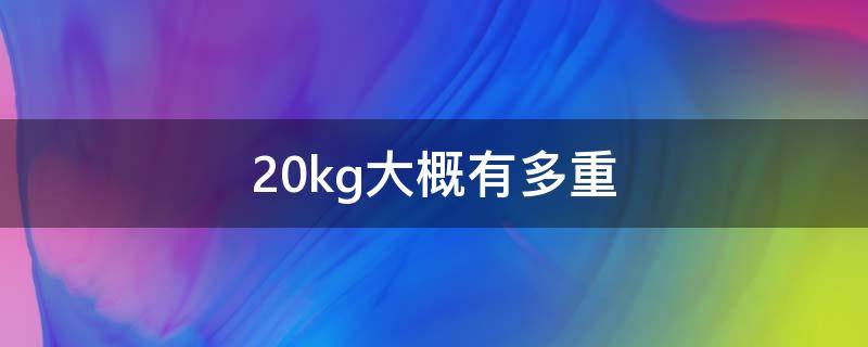 20kg大概有多重 20kg大概有多重行李