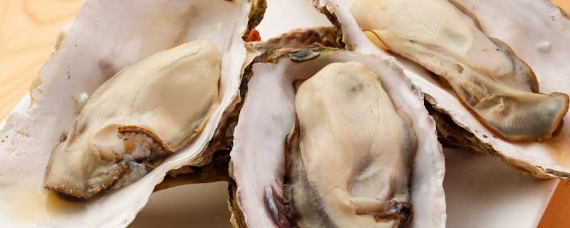 乳山牡蛎怎么保存 乳山牡蛎怎么保存方法