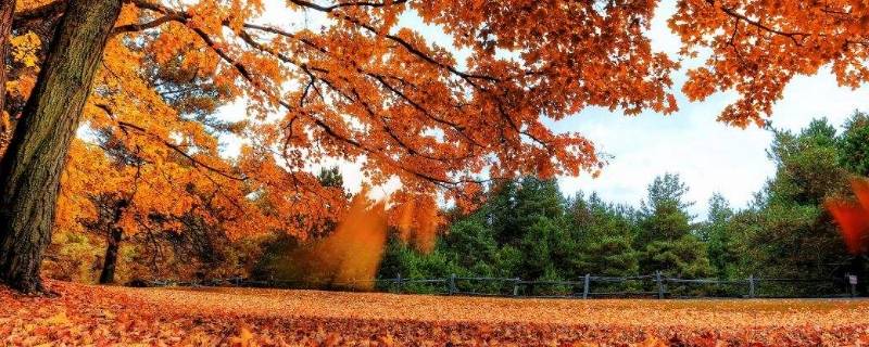 秋天的主题标语 关于秋天的标语简短