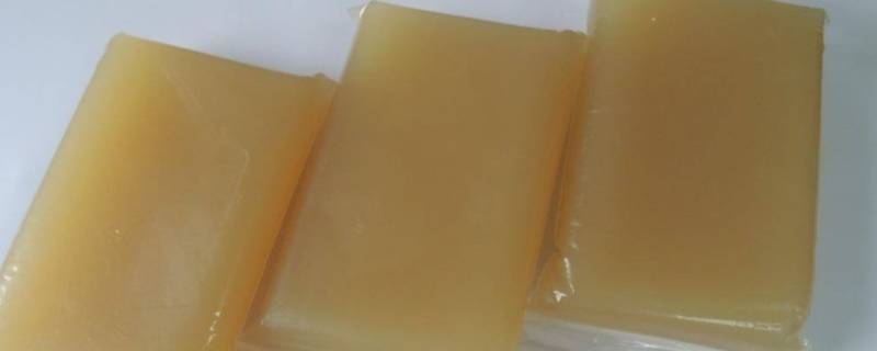 动物胶是什么东西（动物胶质是什么）