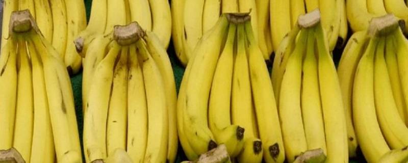 香蕉是什么形状（香蕉是什么形状的用英语怎么说）