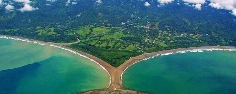 costa costa是什么牌子